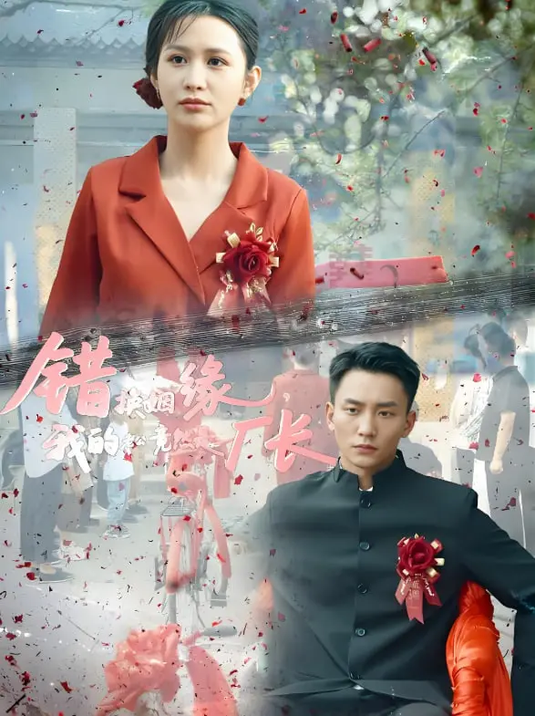 《错换姻缘，我的老公竟然是厂长》：狗血剧情下的真爱？厂长夫人不好当！