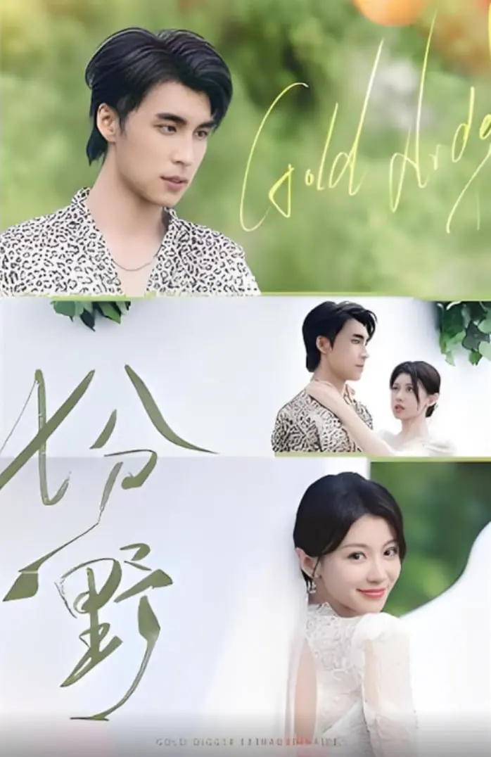 《七分野》影评：末世废土的生存法则，人性的挣扎与希望之光